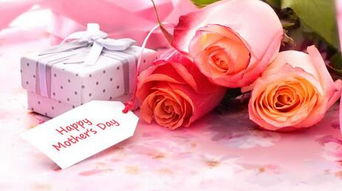 從情人節(jié)花卉消費(fèi)看禮品花卉市場的現(xiàn)狀與趨勢